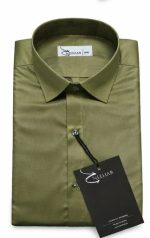 Neehar | Dark Green Formal Shirt for Men | Office & Daily Wear - Image 2
